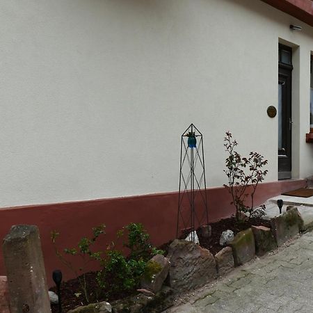 Le gîte des sources: nature, randonnées, détente. Oberbronn Exterior foto