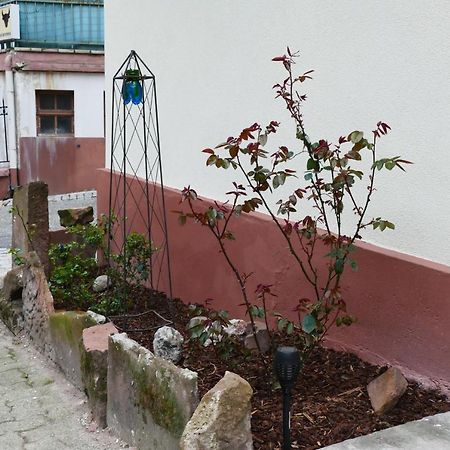 Le gîte des sources: nature, randonnées, détente. Oberbronn Exterior foto