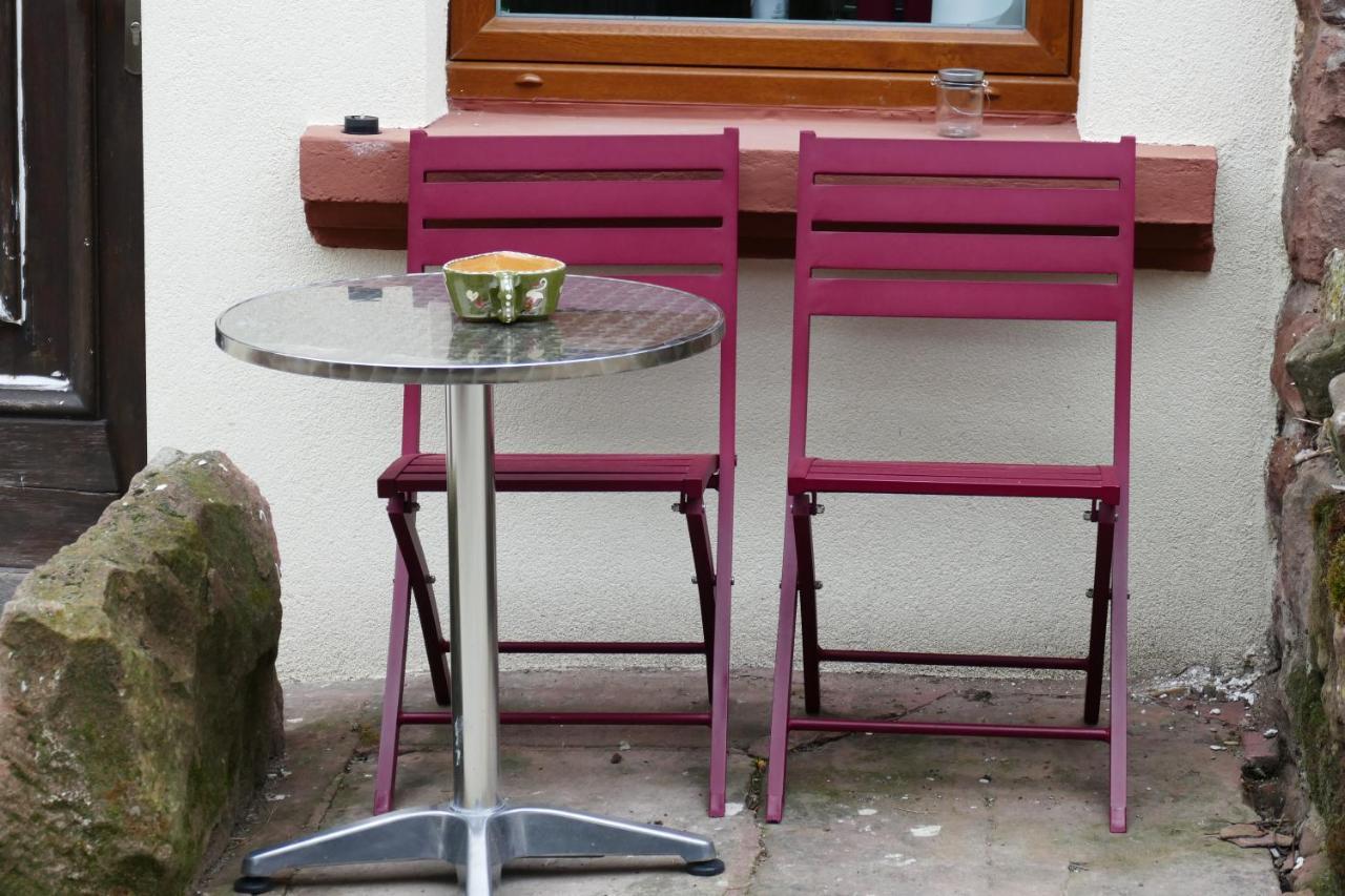 Le gîte des sources: nature, randonnées, détente. Oberbronn Exterior foto